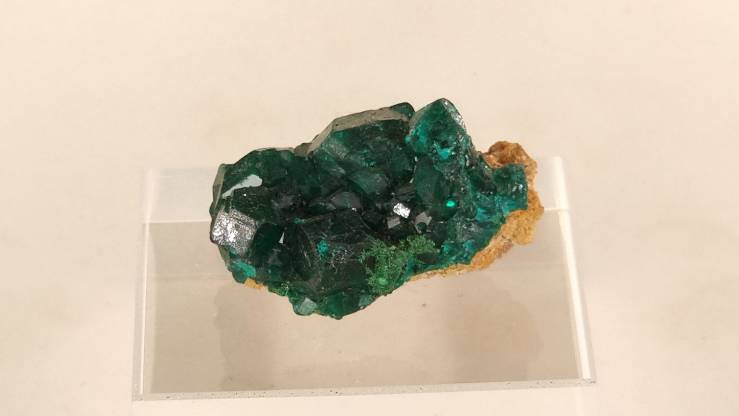 Dioptase on Quartzite